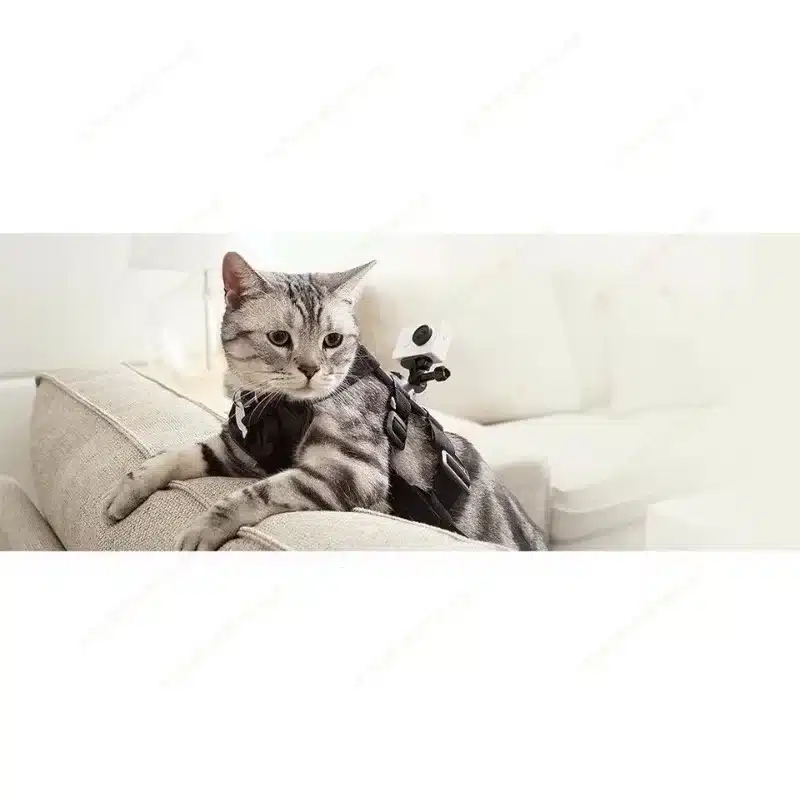 1080P HD Waterproof 30m Sports Action Camera Bicycle Motorcycle Helmet Sking Jumping Diving Video Recorder Multi-color Kameras - 画像 (2)