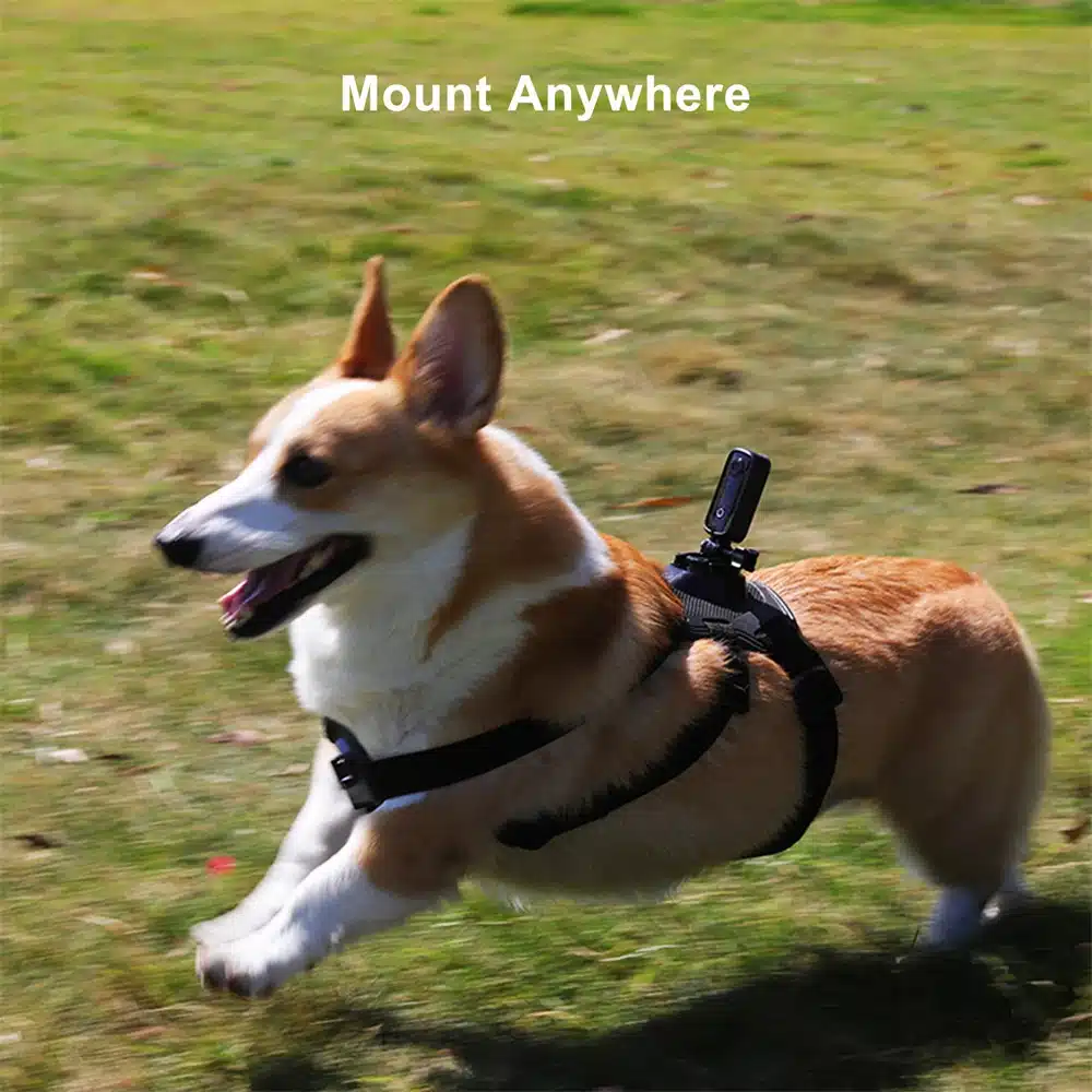 SJCAM C100 Plus Action Camera 4K 30M Waterproof 2.4G WiFi Action Sport action cam EIS bicycle helmet motorcycles - 画像 (5)