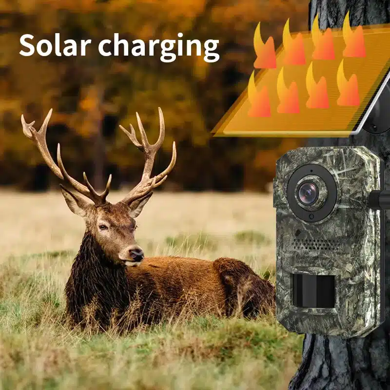 4g Solar Powered Hunting Trail Camera Photo Trap With Wide Detection Angle 940nm Invisible Leds 0.1s Trigger Time Cam - 画像 (2)